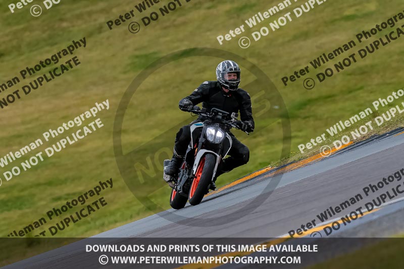 PJ Motorsport 2019;anglesey no limits trackday;anglesey photographs;anglesey trackday photographs;enduro digital images;event digital images;eventdigitalimages;no limits trackdays;peter wileman photography;racing digital images;trac mon;trackday digital images;trackday photos;ty croes